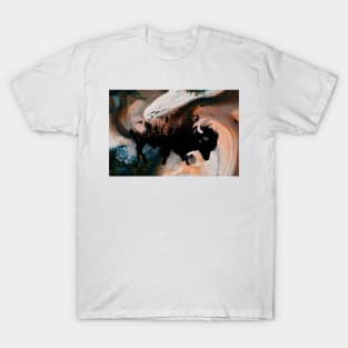 American Bison Stamp Art Painting Earth T-Shirt